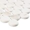 Andova Tiles SAMPLE-Muse 1 in. Glass Penny Round Mosaic Wall & Floor Tile SAM-ANDMUS910 - alternate 8